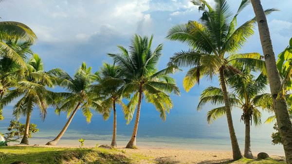 Location chalet à megève : luxe, confort et choix varié